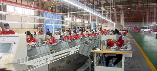 ����������Ь�����l(f��)չ���͹��I(y��) �Ƅӿh��(j��ng)����(chu��ng)�°l(f��)չ