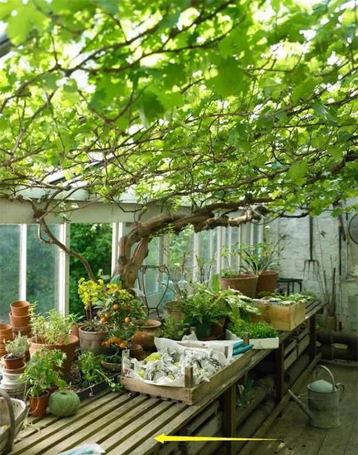 ͥԺ�������O(sh��)Ӌ����ꖹⷿ�ÿ�߀�ԃr�ȸ�!