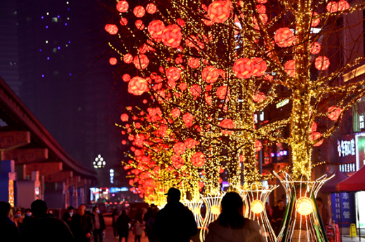 �t���\���Ϙ��� �����^(q��)���^����n���L����