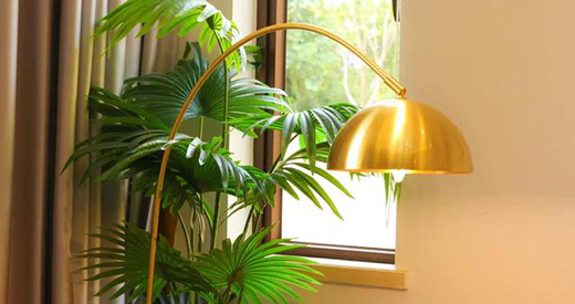 ���ИI(y��)�l(f��)չڅ�������x��Ӱ��ث@��ȫ�~���ȫ���N����һ��!