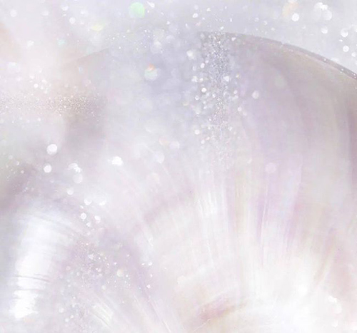 ѩ����ح������s����ğ��ס��y�����ѵǈ�(ch��ng)