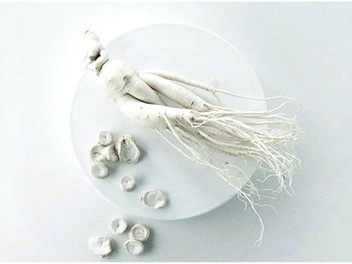 ѩ����ح������s����ğ��ס��y�����ѵǈ�(ch��ng)