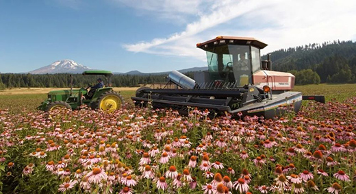 315���M(f��i)�ߙ�(qu��n)���գ������������С�