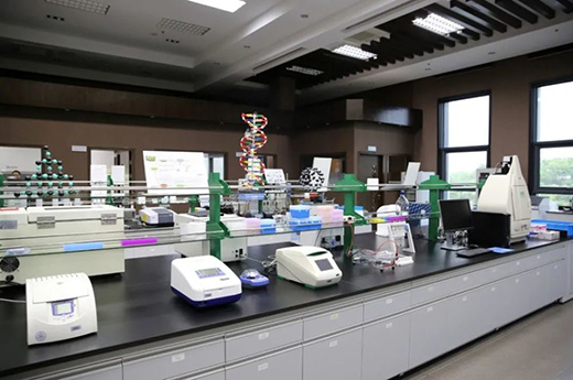 315���M(f��i)�ߙ�(qu��n)�����������������С�