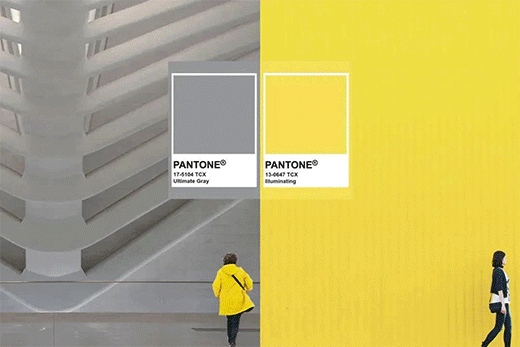 �W�_��ˇ�g(sh��)Ϳ�ϣ�2021피������������S