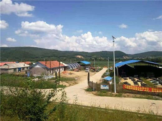 �����������Sţ�� ���콡���ʳ���L��