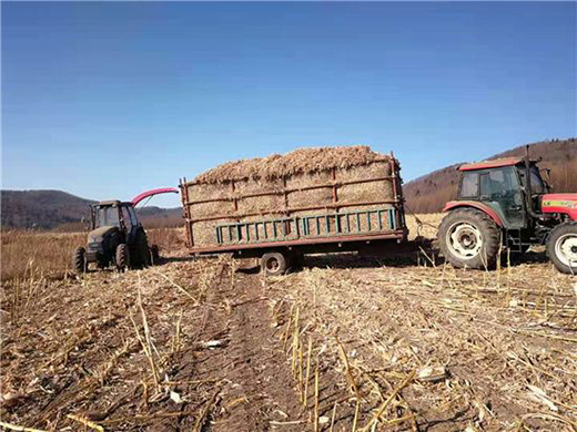 ����ţ�����Sţ�� ���콡���ʳ���L��