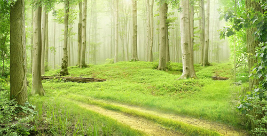 �����\��Ӌ�� ASHER���O(sh��)�w������һ��֮��