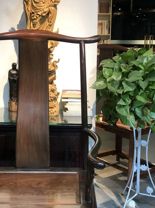 ���tľ�Ҿ����������_ʼ