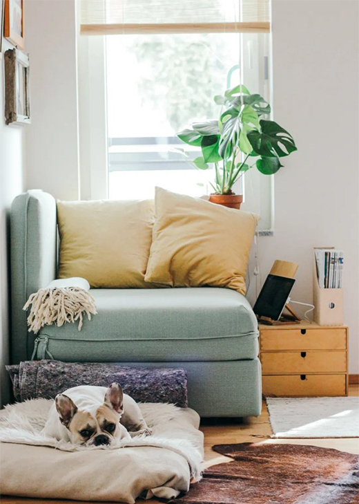 �����o(h��)�ҡ� | �ļ��������Դ����o������