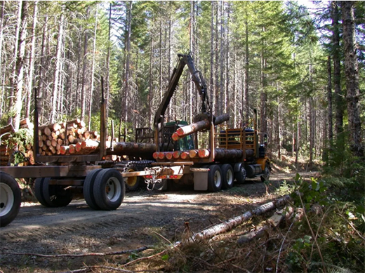 ���Ļ����������M�M | Ī��ɽ�ذ�Ʒ�Ʒ���(w��)���Wҫȫ��