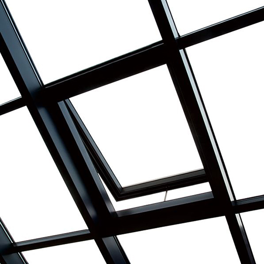 ꖹⷿح��ԡꖹ�����������Ȼ֮�g