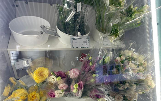 ���o�����ۡ��r�����κ��ݵ��F ��(ch��ng)����(chu��ng)��չ���M(f��i)�»���