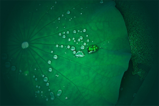 ������N��Ʒ�ƿ��ͺ������I(l��ng)Ʒ�|(zh��)�N���������w�