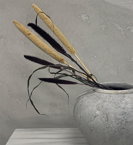 ����ؐ�� | �XһĨ��ɫ�����[���¸��{(di��o)