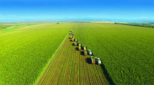 �w�Q�̷��I����ռ�ʛ_��19%����؛��������