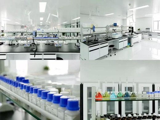 ������ | ���˾�����������������؛Ʒ��