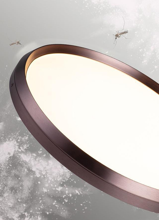 һ��s��������������픟����s׌�Ҳ����s