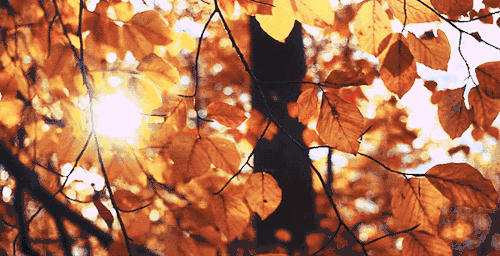 �@�ӵĄe��ꖹⷿ���M���㌦������������