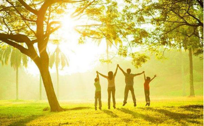 �揊(qi��ng)2021�����(chu��ng)������(gu��)��ϴ��Ʒ�Ƴɿ�(j��)����