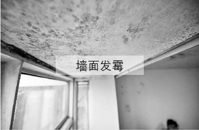 ������?sh��)�����ʿ���졪����ʿSOK�����Ʒ�|���bͿ��