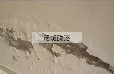 ������?sh��)�����ʿ���졪����ʿSOK�����Ʒ�|���bͿ��