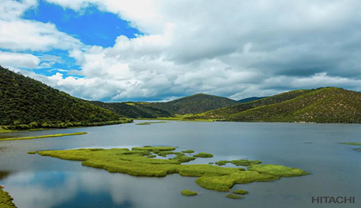 �����՚��Ј�(ch��ng)����(zh��n)������������������δ���՚��¸��