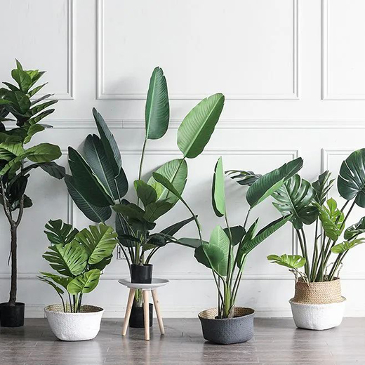 奇力“天幕”系列吊頂,解鎖家的高顏值!