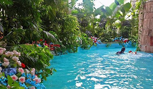 ��˹�Ǳ�����֮����(gu��)�����ռ������ß����c���ӭ������