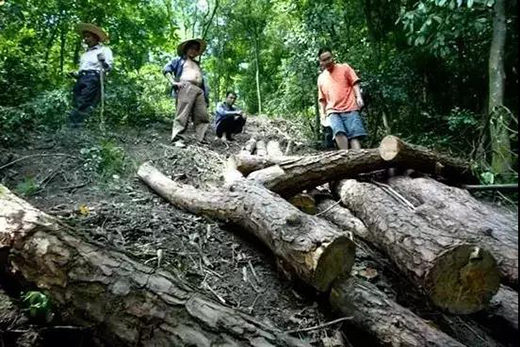 ��t��֦�Ҿߣ����M�롰���ƻ����r��