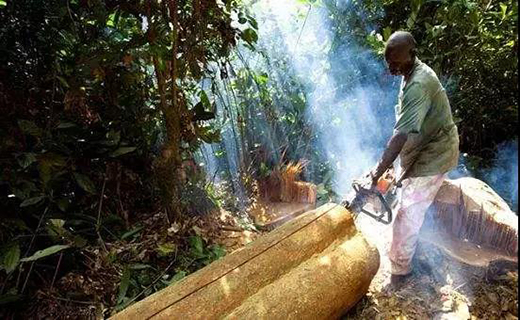 ��t��֦�Ҿߣ����M�롰���ƻ����r��