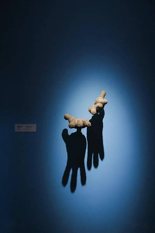 ����!�A��(r��n)����������ˇ�g(sh��)չ���y�ֵ�ʿ���������Ʒ