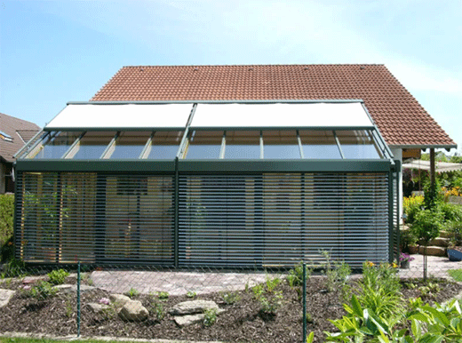 �����ꖹⷿ����+1�����治��!