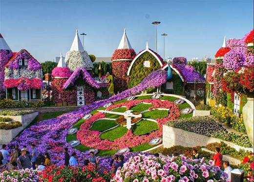 ��(chu��ng)������ֹ�������ܳɾ�ˇ�g(sh��)Ϳ���ИI(y��)��Ʒ��