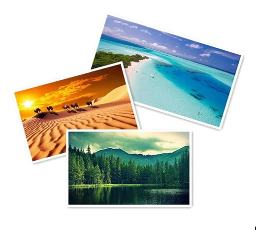 NEW ���c��Ȼ���������c�����N����Ȼ�΃�֮��