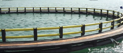 �۽��l(xi��ng)�����d��(zh��n)�����Ї�(li��n)�ܷe�O�l(f��)�]�ܵ����^����