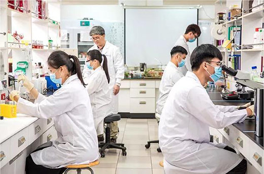 ���ݚ��붶�����A���u��TOP3!���������������?