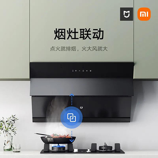 �]�]�֣��͟������׼҂�(c��)���������bS1