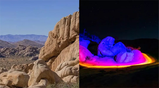 �P�c��Щ������Ȼ�⡱�ľW(w��ng)�t��������ֹ�ֵ��ô����!