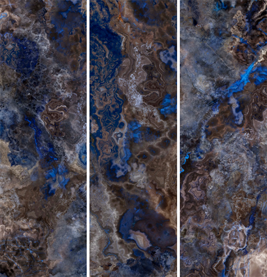 秋日萬(wàn)象 | 秋日正午，五彩斑斕惹人醉