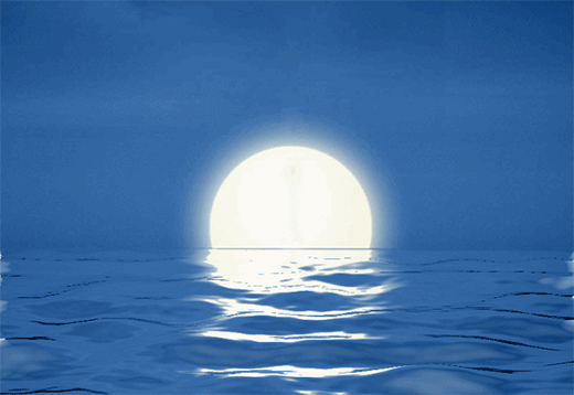 �P���T�I(y��) | ����ѹ�(ji��)�����ǐ۵Ěw;