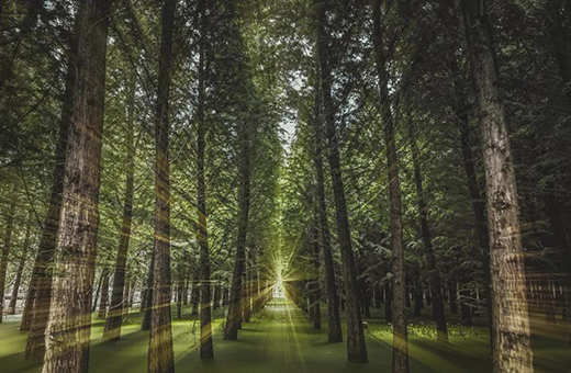 ϲӍح2021����냞(y��u)��������!ǧ���۾C�ό�(sh��)���٫@�J(r��n)��