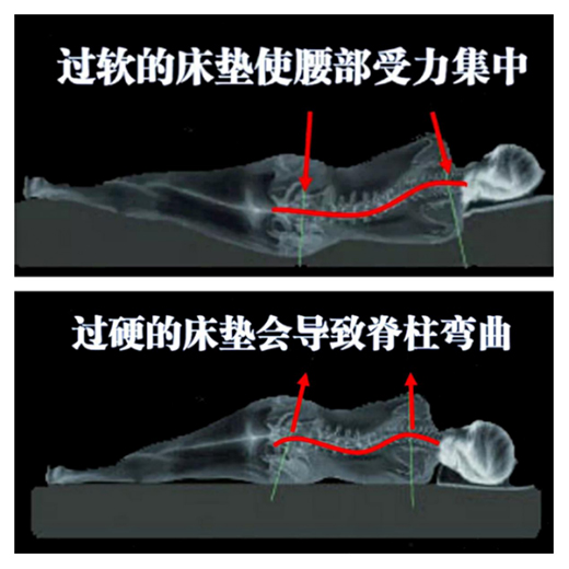 �����R����(y��u)�|��˯�ߏ��ҵ��m���Լ��Ĵ��|�_ʼ