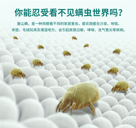 ��Ճ������������F�ݚ����xС�C��߀�㡰�]��������