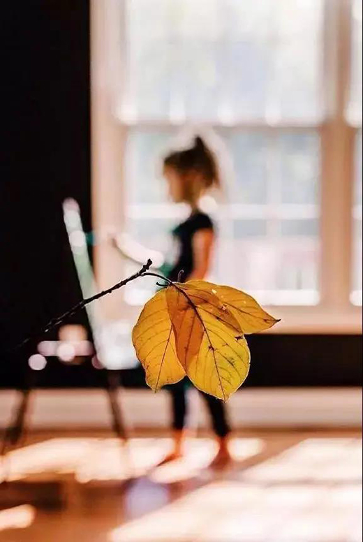 �Ƹ꿨�� | ����ů����׌�@��(g��)����������