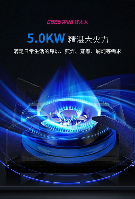 Goodwife��̫̫���r(sh��)���ͷǷ��������o����Ҫ����ζ