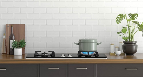 ��ȫ�����������ܣ��փ�(n��i)�ǏN�����ṩ����ȼ����֮�x