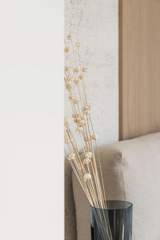 ��(ji��n)�s�L(f��ng)�ă���һ�d���P����ľ���������̫�з���!