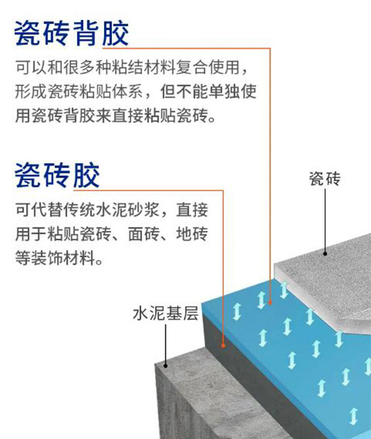 瓷磚膠&瓷磚背膠，一字之差，大有不同