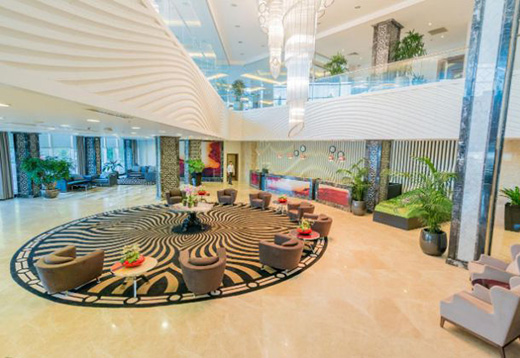 ��Ȼ��ɫ�^�У���ľ����ľ���չ�F(xi��n)ľ�|(zh��)���